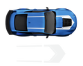 Ford Mustang Roof & Hood 2 Color Graphic