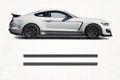 Ford Mustang Shelby GT350 Rocker Panel Side Stripe Decal Kit – Premium Vinyl Graphics